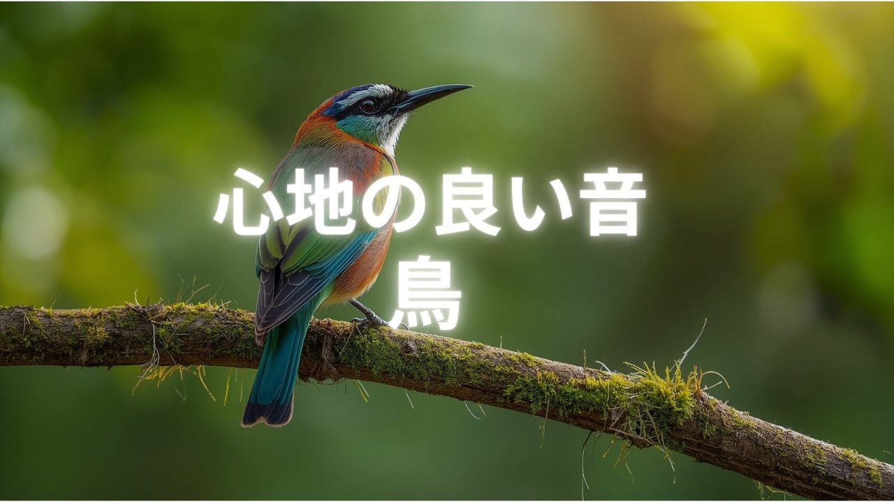 【睡眠用BGM】幸せの始まり【鳥の鳴き声】