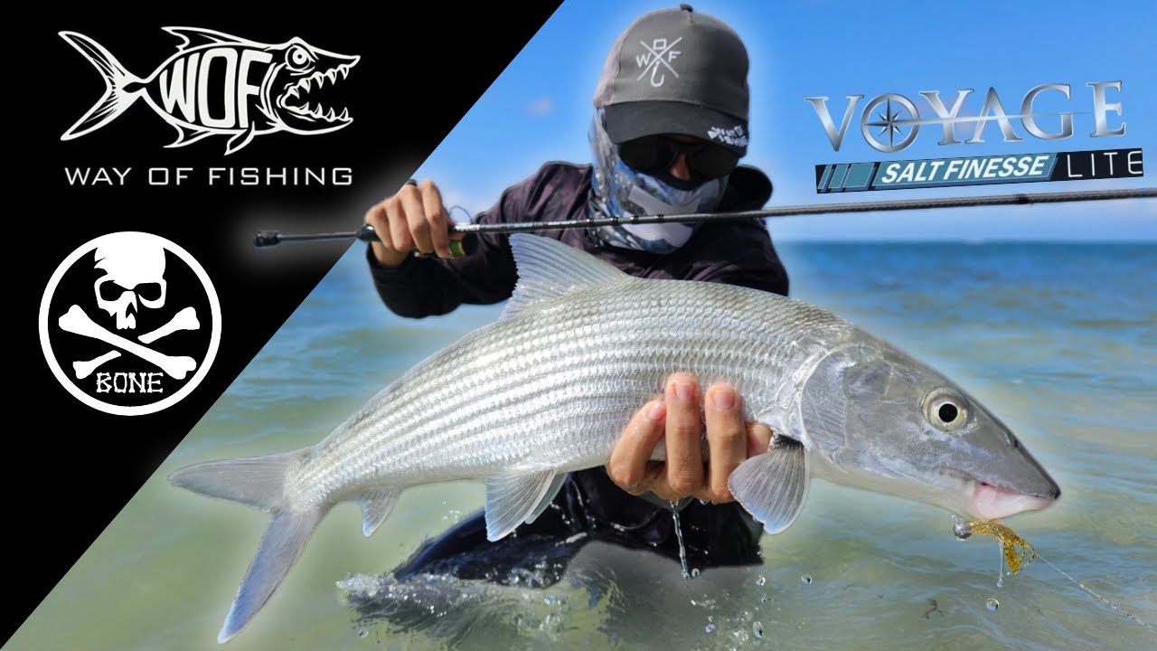 Présentation des Cannes Bone Voyage Salt Finess Lite