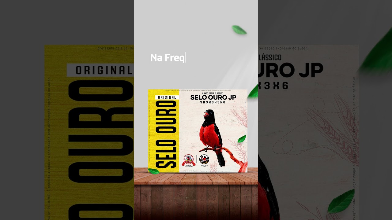 Canto Praia Cl&aacute;ssico Selo Ouro JP Ref&uacute;gio Remasterizado