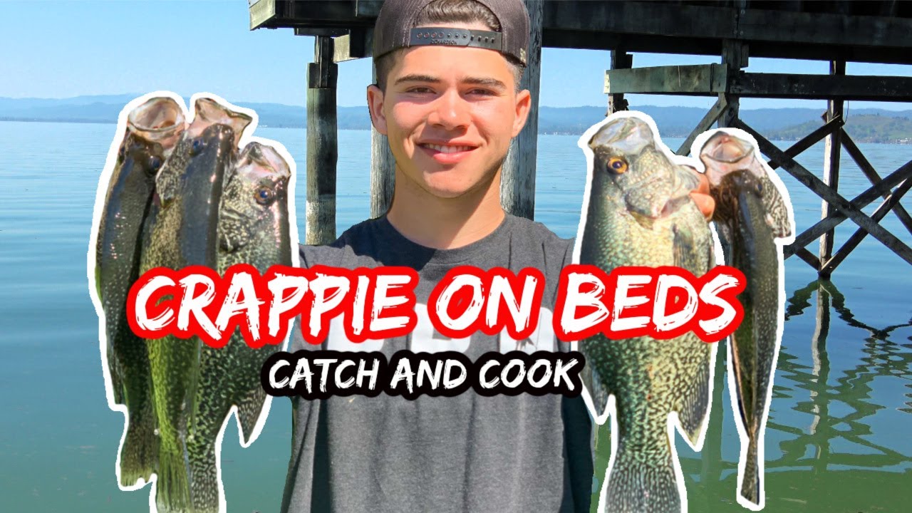 CRAPPIE on BEDS! Lets CATCH and COOK (Clearlake Ca)