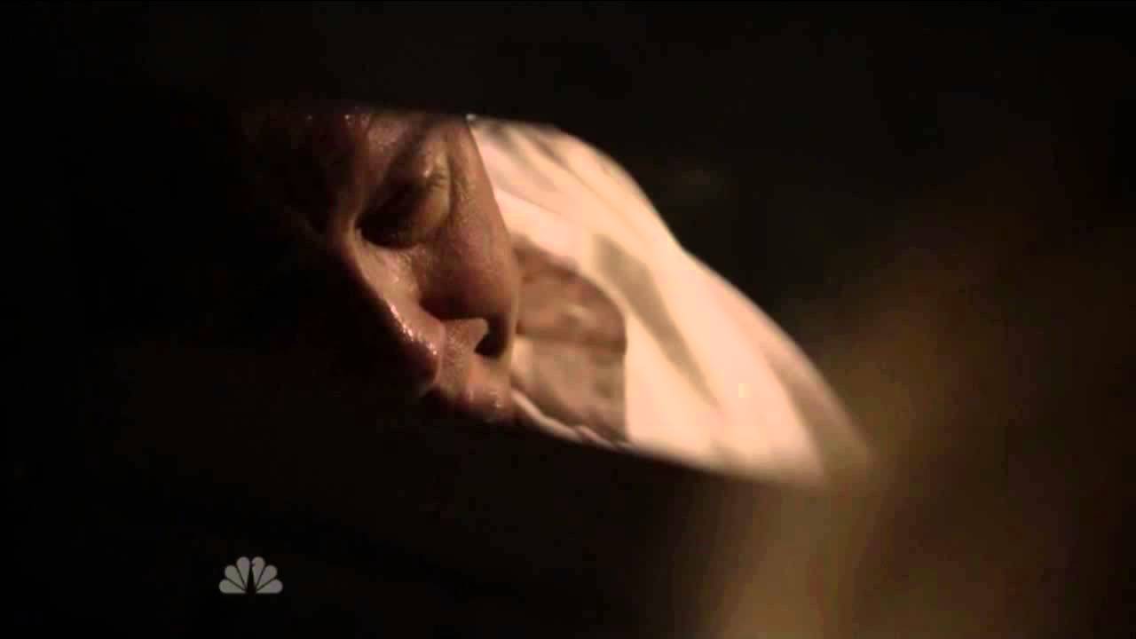 Reddington monologue - All i saw was blood