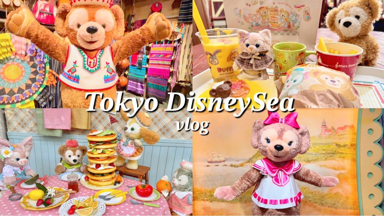【Disney vlog】冬のディズニーシーで遊んだvlog⛄️🧣