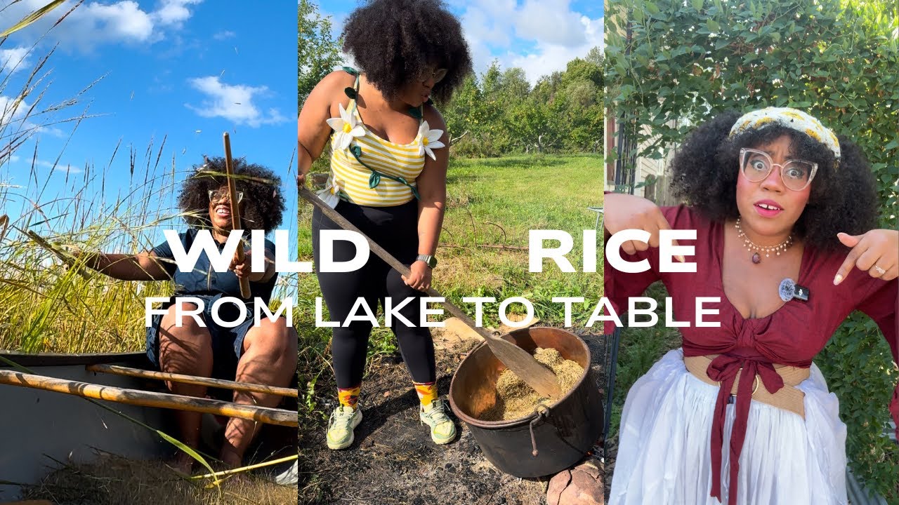 WILD RICE -  From LAKE to TABLE