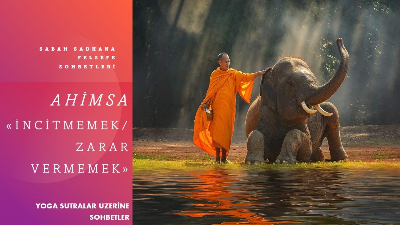 Yoga Sohbetleri-1:  Ahimsa (İncitmemek/Zarar Vermemek)