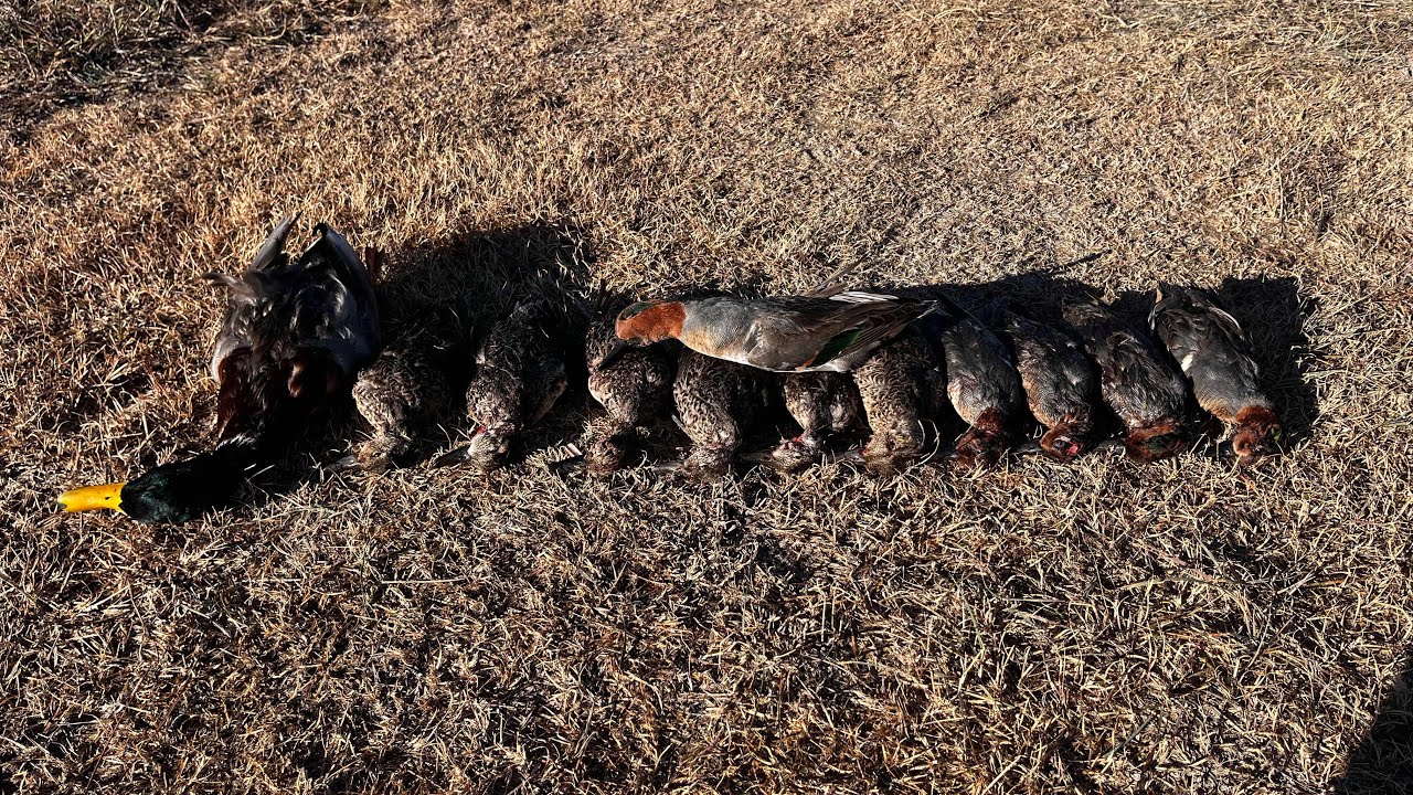 Kansas Public Land Duck Hunt | 2 man limit
