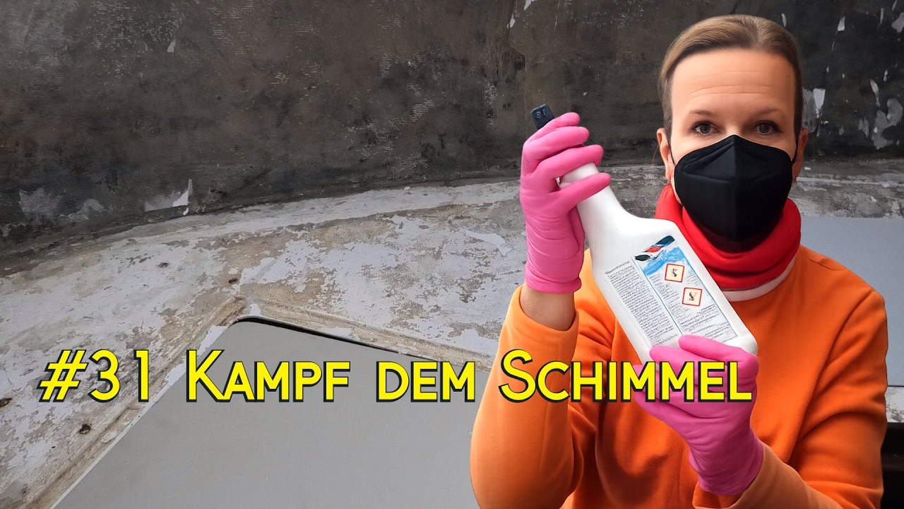 Beni on Board#31 Kampf dem Schimmel!