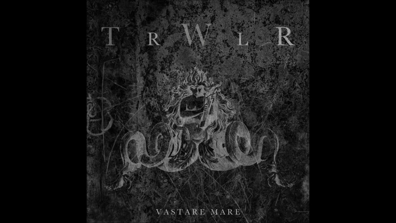 TRWLR - Waves In Reverse