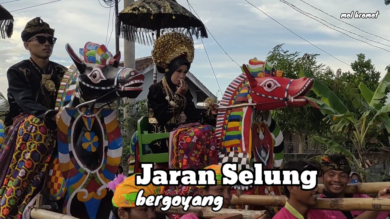 Jaran kamput Selung monggok pengantin , di acara nyongkolan