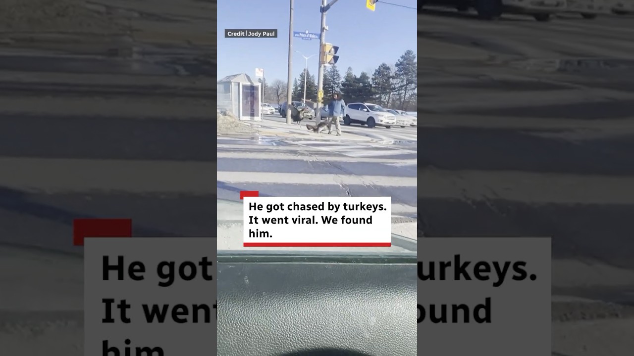 Meet the man who got chased by turkeys in Ottawa