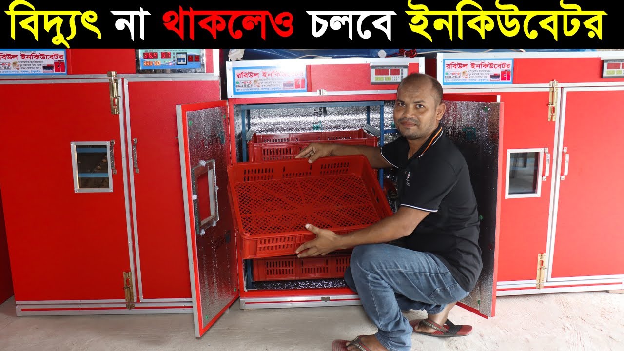 ২৪ ঘন্টা বিদুৎ না থাকলে ও ইনকিউবেটরে ফুটবে ডিম।রবিউল ইনকিউবেটর।