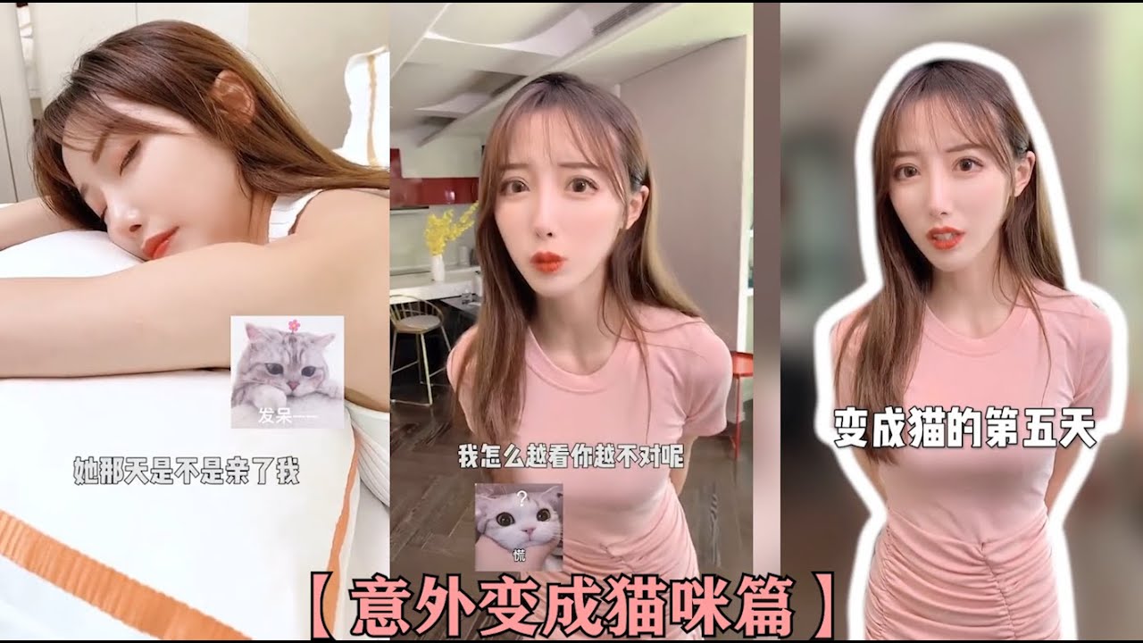 【意外变成猫咪篇】她为什么一直在拍我 我是不是有机会更亲近了