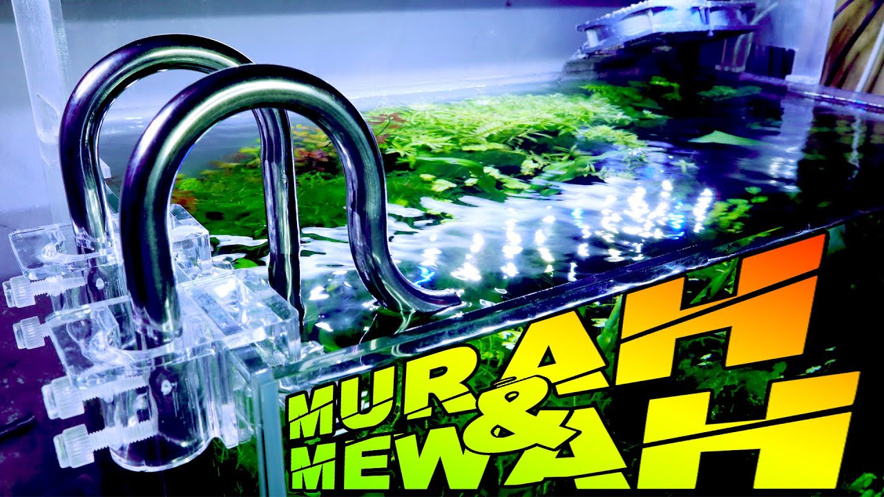 Review Lily Pipe Stainless Steel & Akrilik Holder - Kawan Aquascape