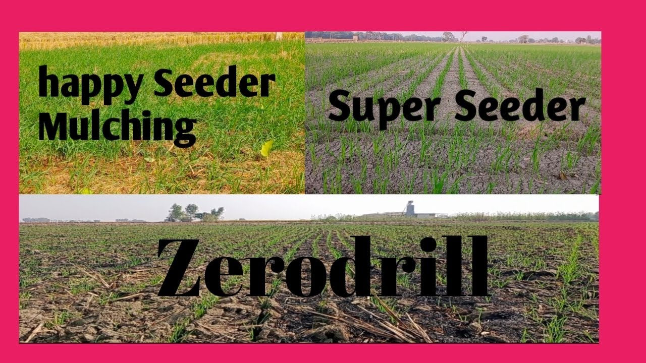 Happy Seeder  Mulching .Super Seeder.Zero Drill Wheat crop Showing