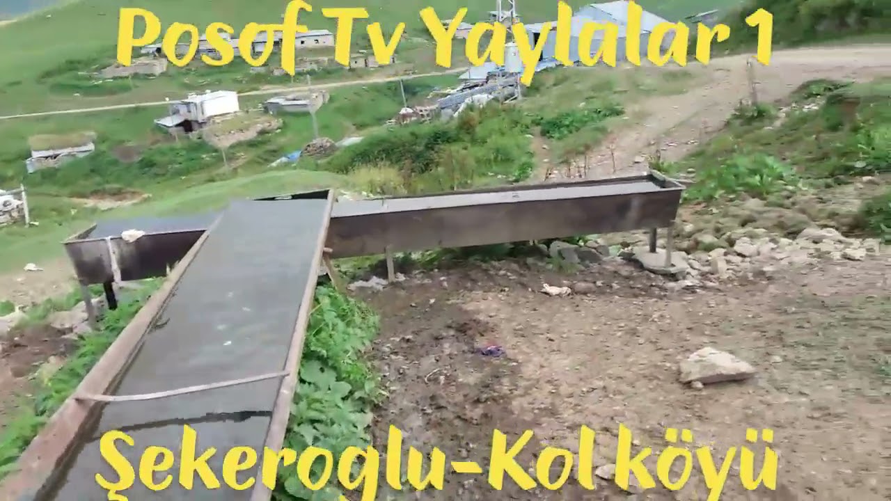 KOL KÖYÜ YAYLASINA ZIYARET ARSIYAN DAGI YAMACI POSOF ARDAHAN