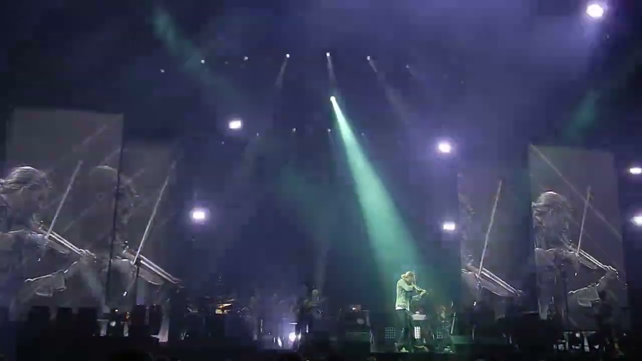 David Garrett +