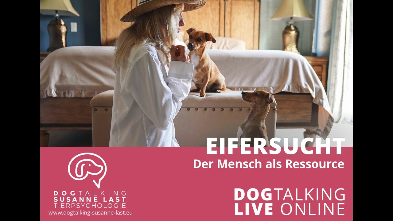 Podcast # 27 Eifersucht - Der Mensch als Ressource