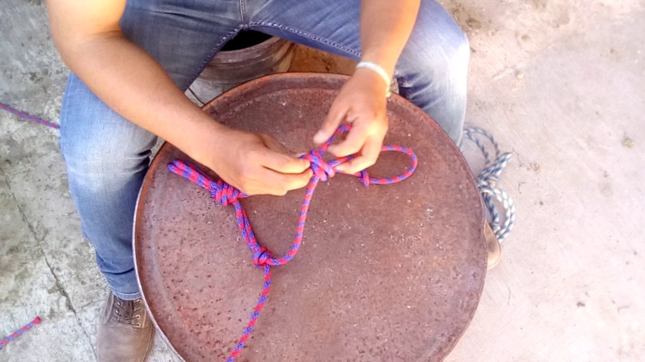 jaquima para caballo