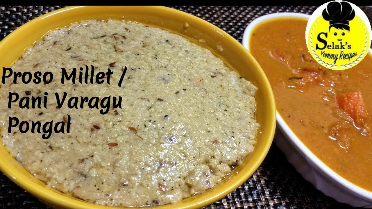 சிறுதானியம் இருந்தா இந்த சத்தான வெண் பொங்கல் செய்து பாருங்க/Pani Varagu Pongal/Millet Recipes Tamil