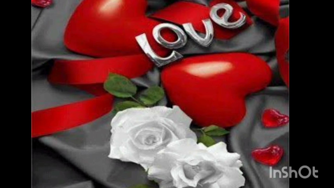 بيحبك  جدا جدا🌹❤️🥰 لكنه بيعبد ويقرب 🥹 ويختفي فجأة 😓 يا ترى ليه🤔