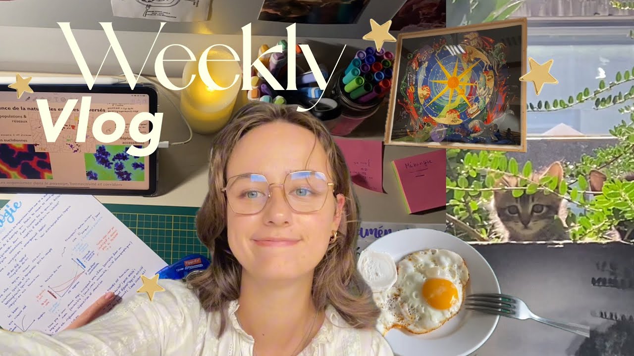 vlog 🐈  une semaine de partiels en école d’ingénieur 