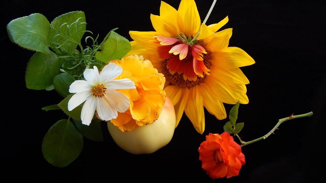 Лечебная музыка Моцарта 🌺 Энергия Для Души. Защита и Восстановление Организма.