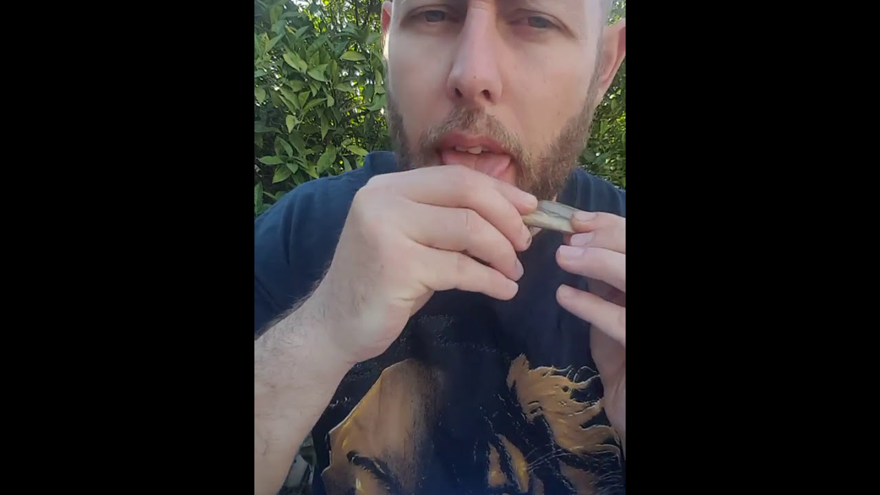 Animal Cookies Strain Review