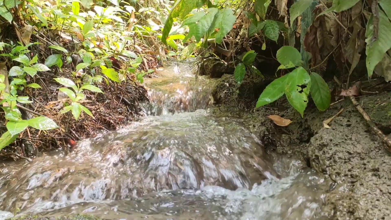 Healing River Ambience – Calm River Sounds with White Noise for Stress Relief