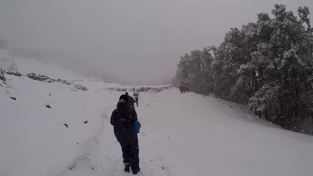 Justwravel Nagtibba