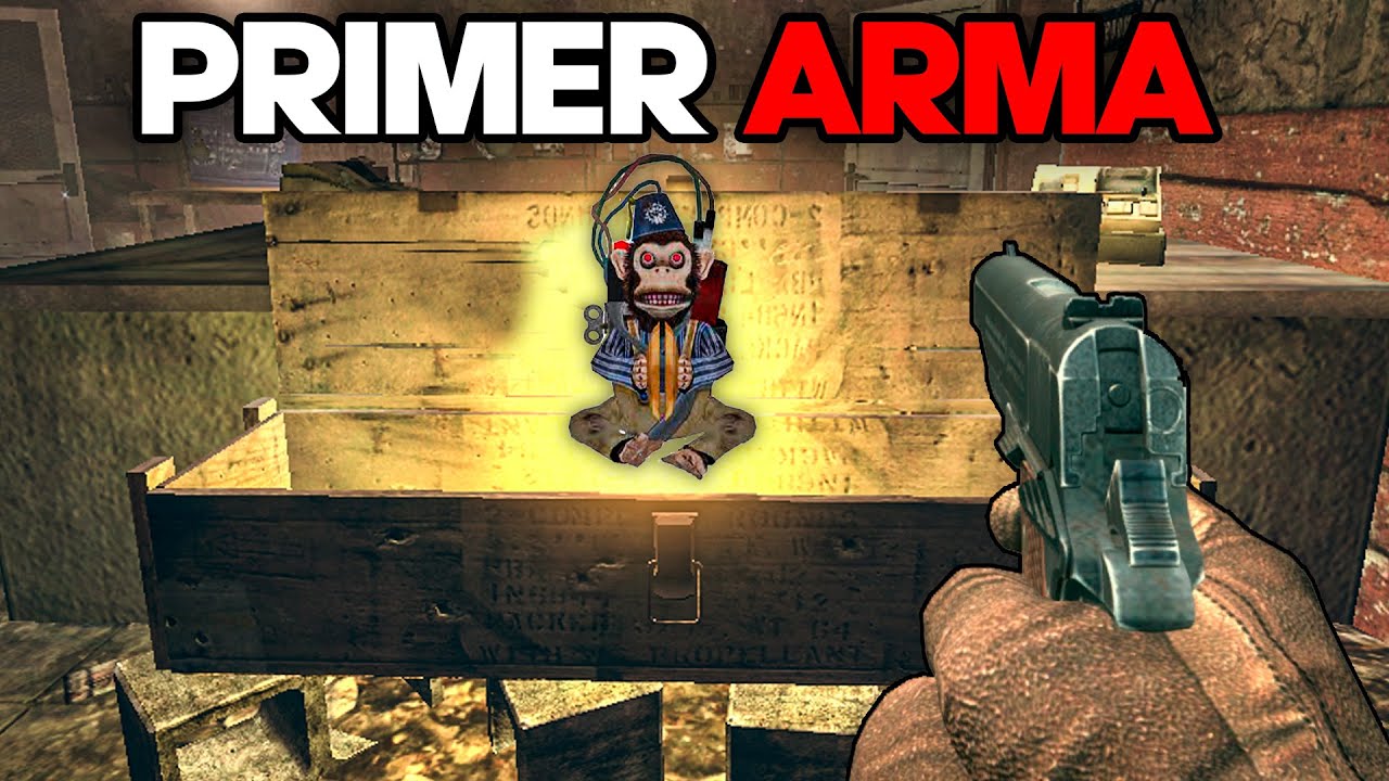 TRANZIT pero SOLO USO LA PRIMER ARMA DE CAJA
