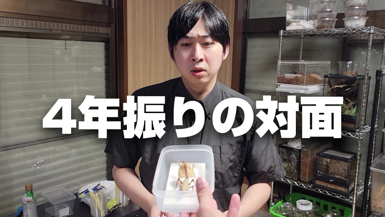 むし社に依頼して４年間放置してたカマキリを代わりに受け取ってきたんだけど