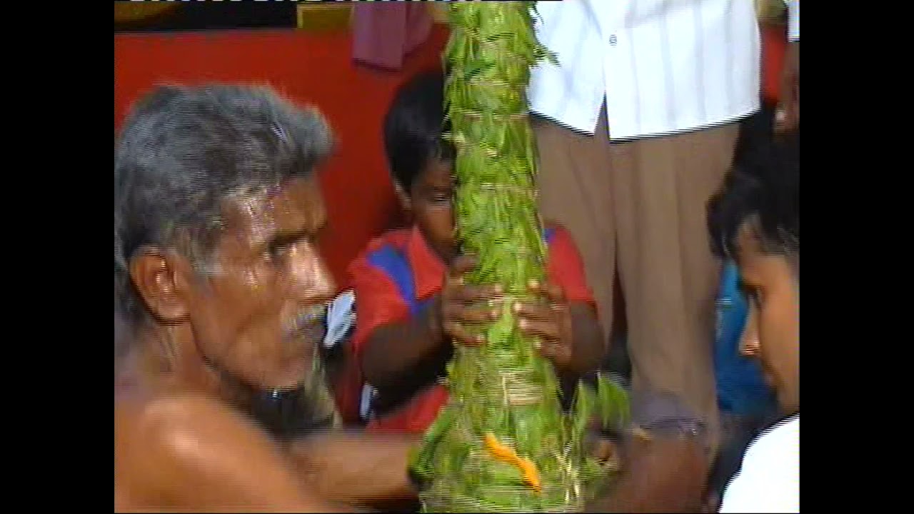 85th Mysuru Karaga festival - 2009