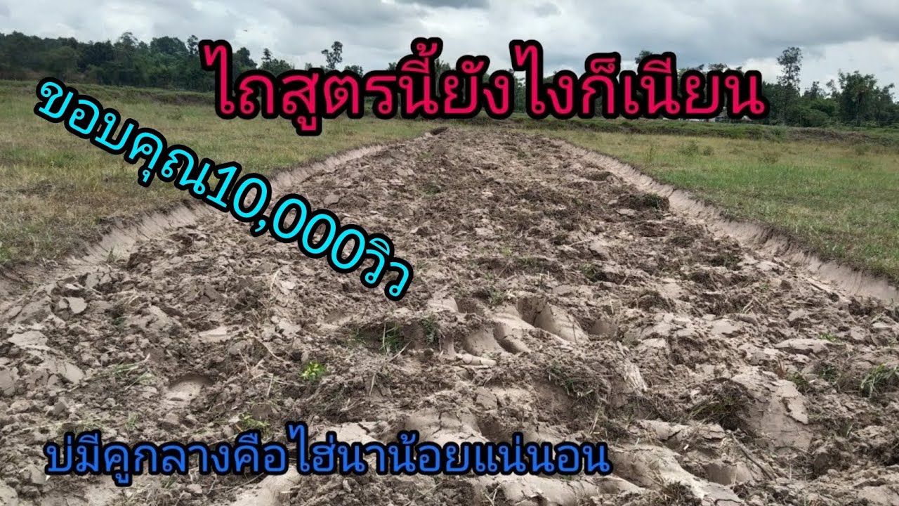 วิธีไถจากข้างในออกนอก ผมรู้ผมก็บอกอย่าถือว่ารากไม้สอนขอน|บ่าวอุบล รถไถซิ่ง