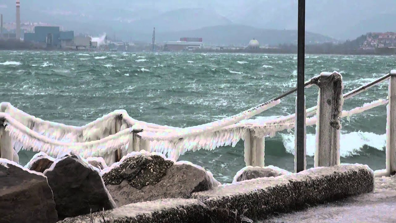 GELO E BORA a Trieste (febbraio)