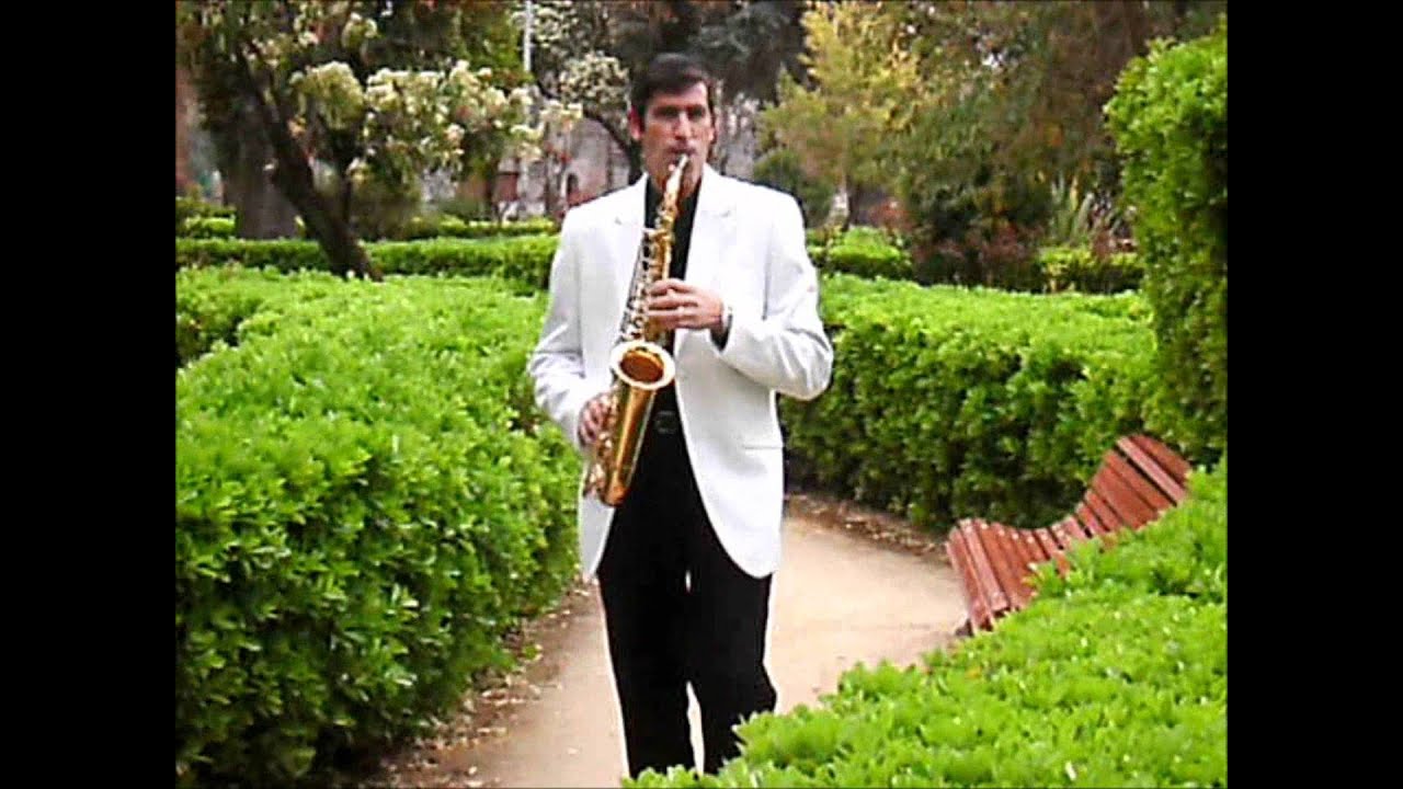 Luis Camara (Luisax) - Estar contigo