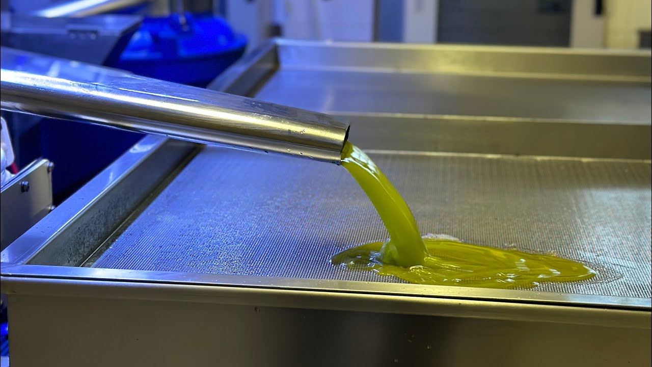 Test per scoprire se usate olio extravergine di qualit&agrave;