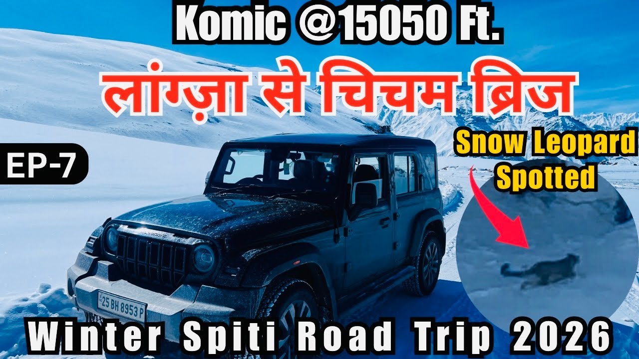Snow Leopard Spotted at Chicham Bridge | Reached World Highest Motorable Village Komic @15050Ft.