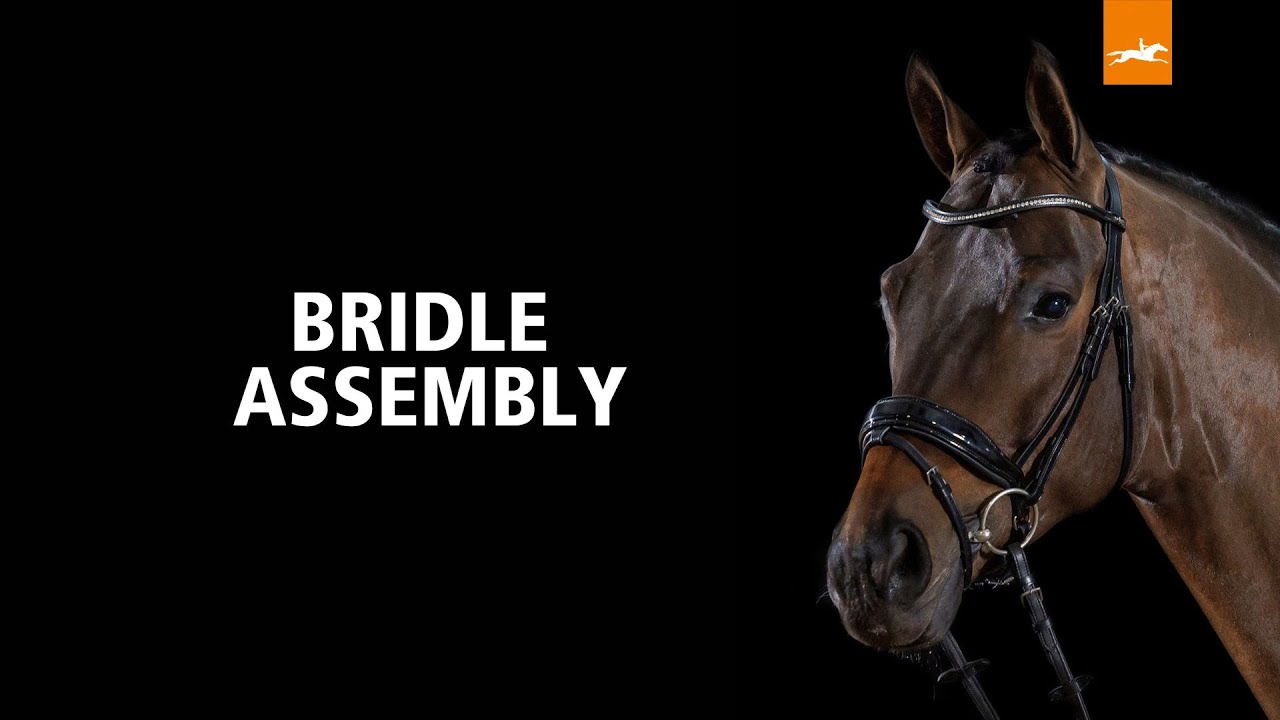 Bridle assembly EN