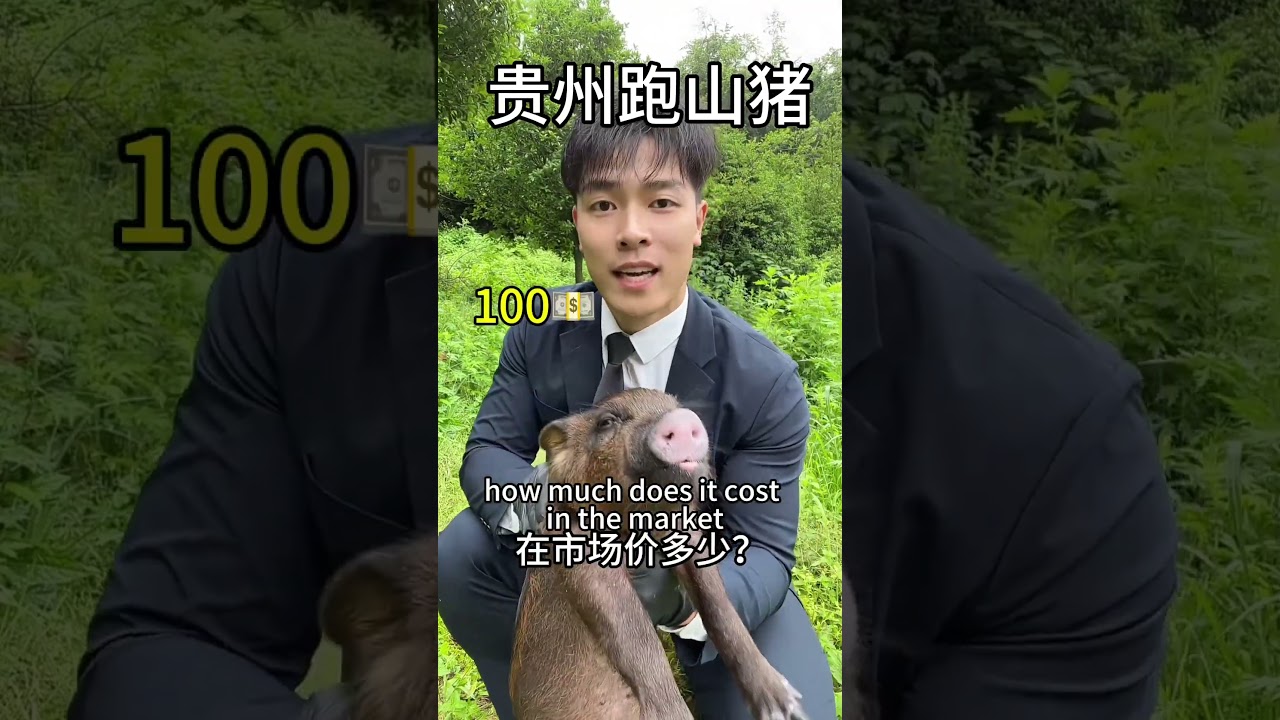 Guizhou Runshan pig# Correct way to open Tiktok selling goods # Tiktok food recommendation officer