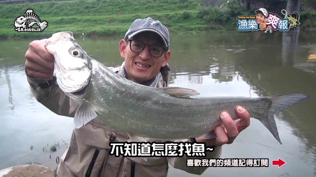 基隆河腰怪現身!!! 這個點魚超多 但你知道怎麼釣嗎？邊釣邊跑給牛追的釣點 新北市魚窟 大量魚群聚集 漁樂爽報 (Fishing Fun News)【 釣魚】 EP41