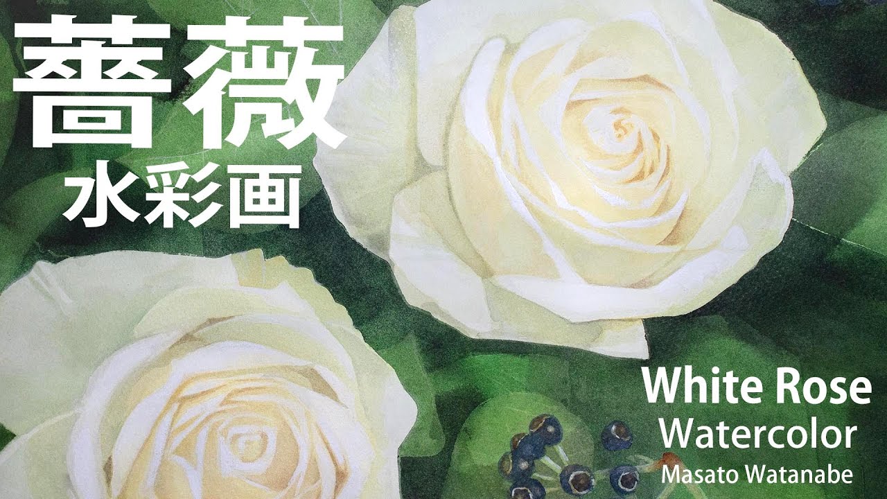 白い薔薇を描く Paint a white rose　水彩画 Watercolor　描き方　Masato Watanabe