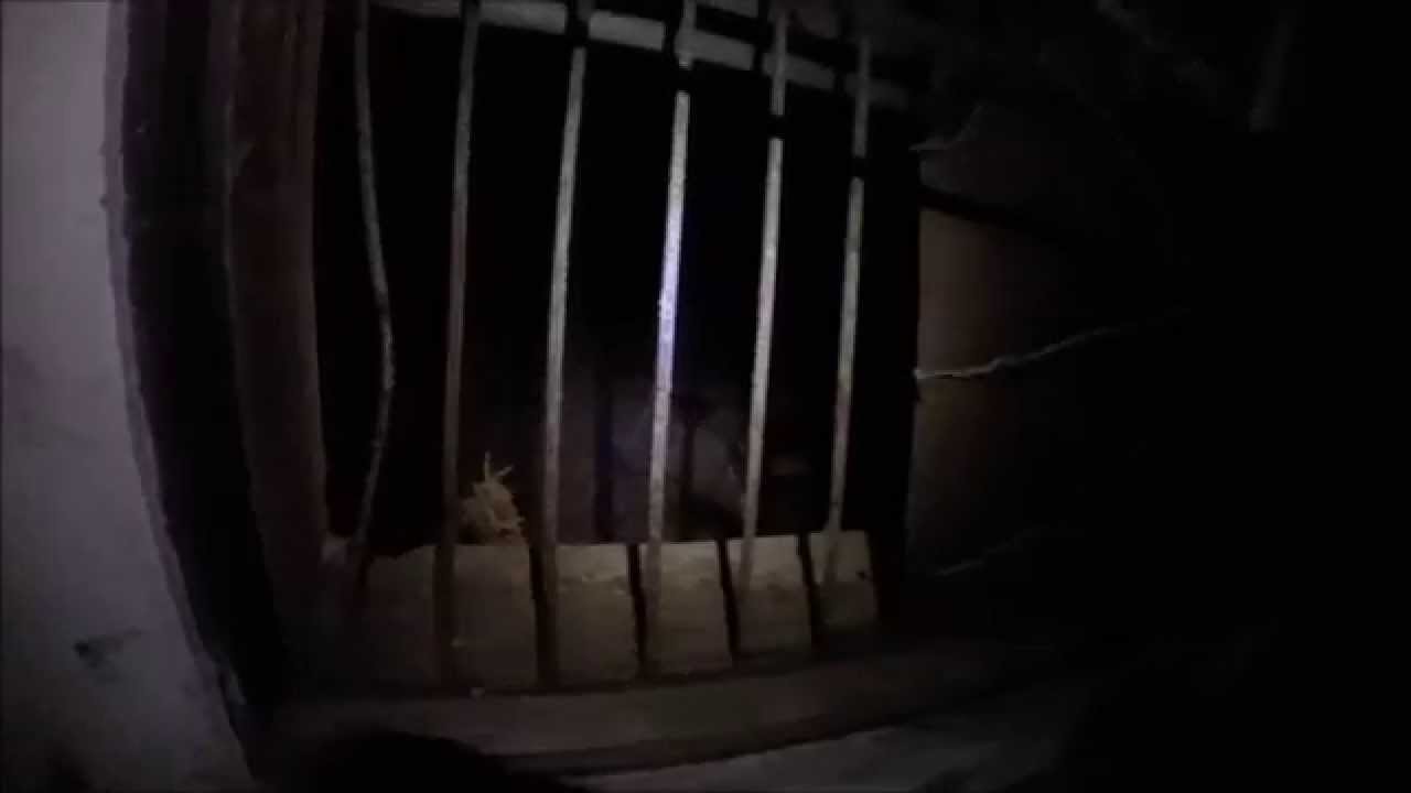 Gonjiam mental hospital (night)