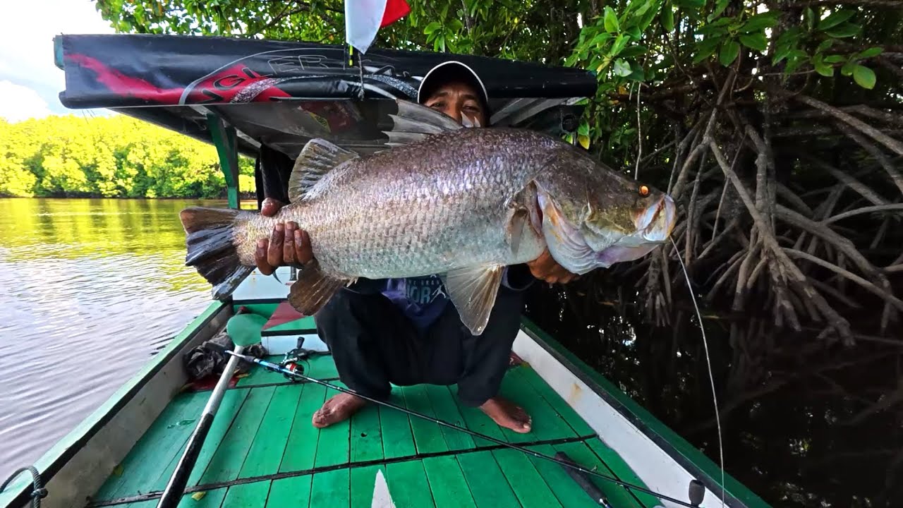 Rejeki dapat ikan besar setelah banjir air rob, banyak ikan pada kelaparan menyambar umpan.