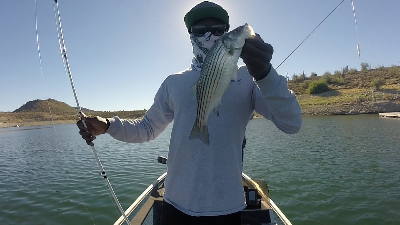 Fishing Big Striper Schools With Topwater and Swimbaits!