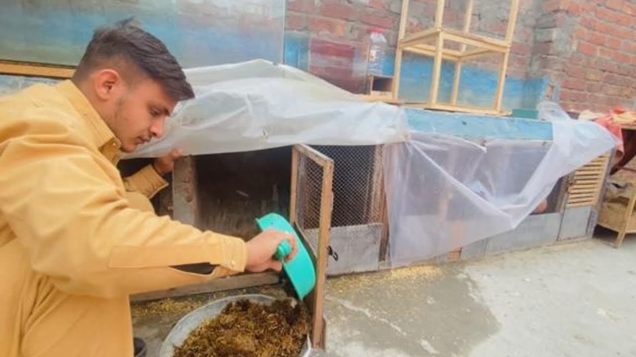 New Murge Wale Cage Ki Safai Kar Di