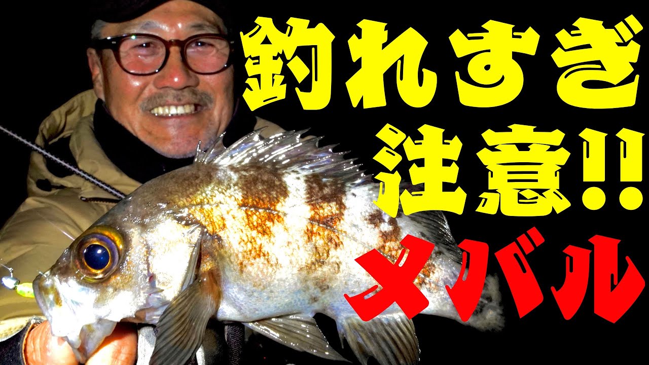 三陸アジング最新攻略術／メバリング編／絶対釣れちゃう三陸メバリング～家邊克己（やべ・かつみ）
