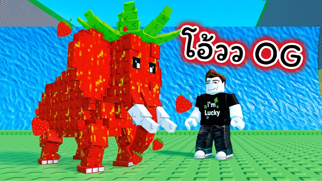 เจ้าช้าง OG หนีคลื่นสึนามิ Roblox Escape Waves For Lucky Blocks