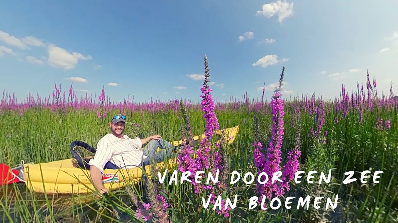 Kajakken door een Zee van Bloemen in de Biesbosch | Ultieme natuur in Nederland VLOG #1