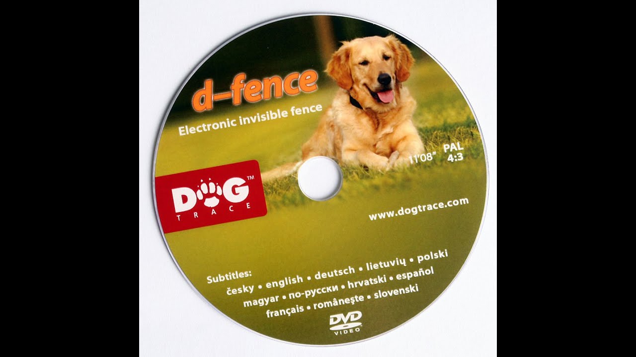 Elektrický ohradník pro psy Elektronický - Neviditelný plot