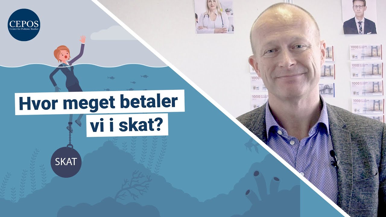 Hvor Meget Betaler Vi i Skat?
