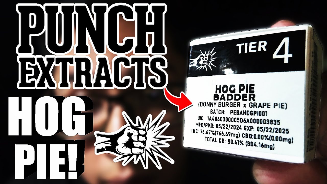 This HOG PIE was SCRUMPTIOUS! | Punch Extracts Tier 4 Badder!
